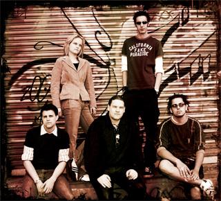d-versity