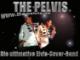 THE PELVIS