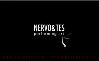 Nervo&Tes performing art
