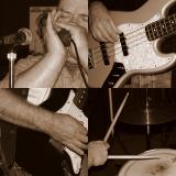 collage1.jpg